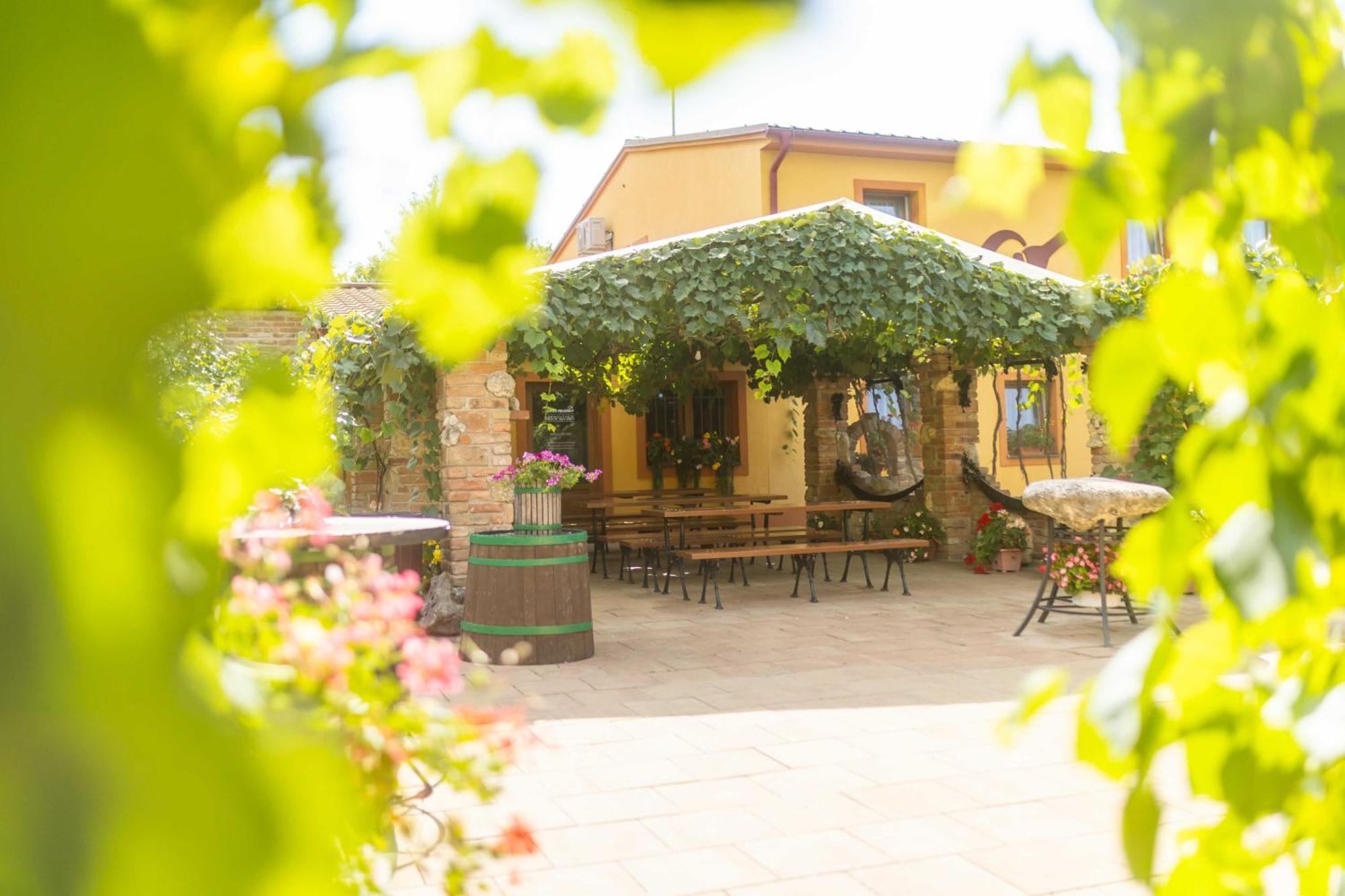 Penzion Moravská oáza Valtice Exterior foto